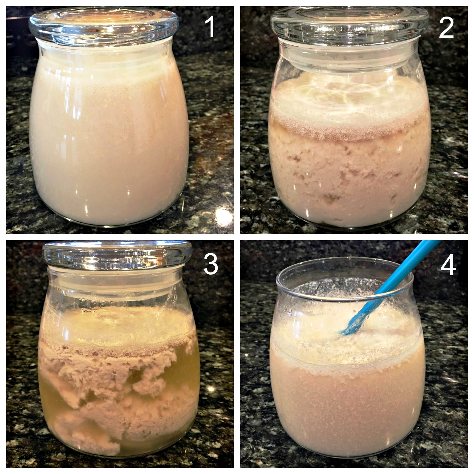 Almond Milk Kefir How to Recipe Numbered